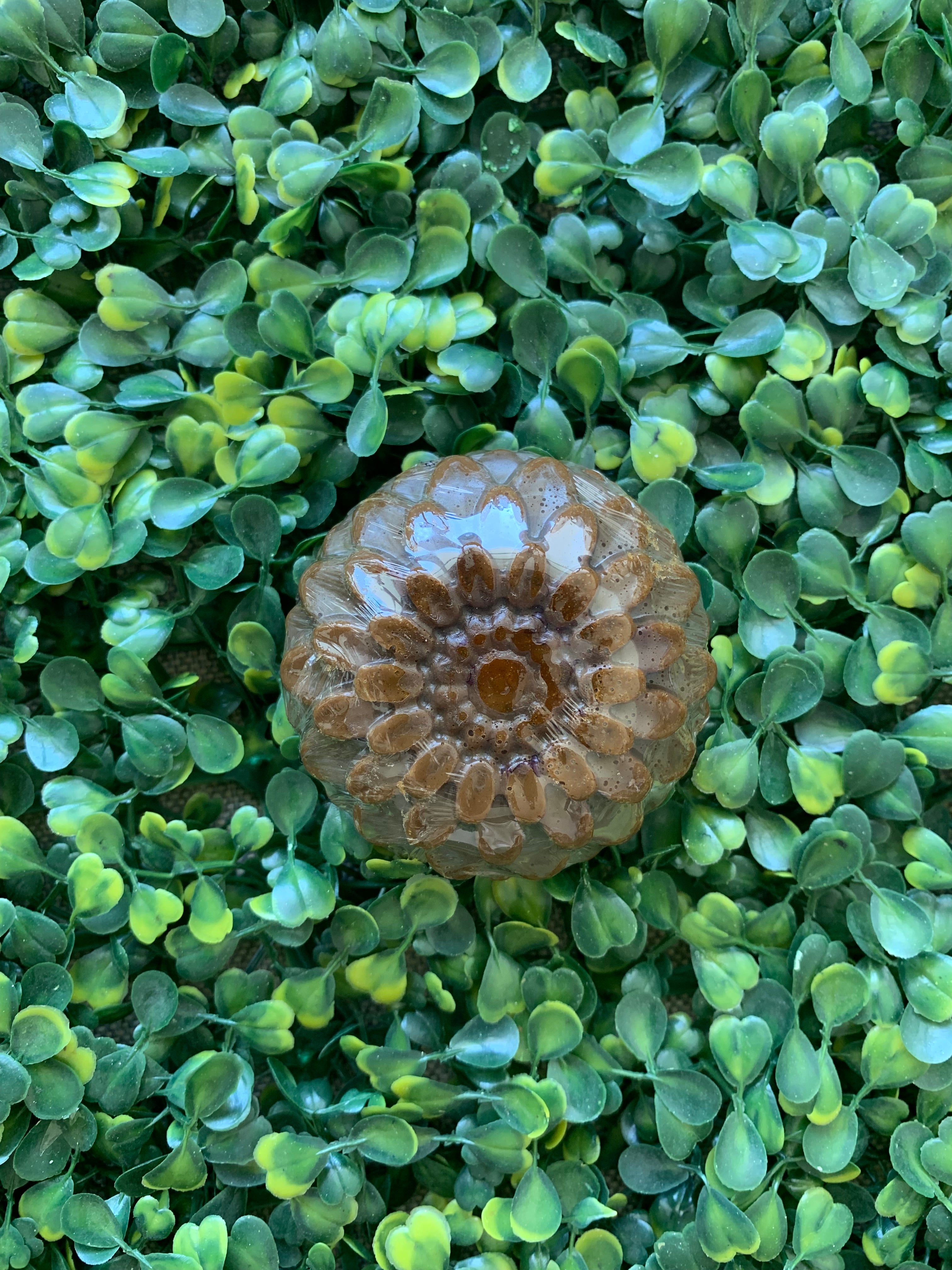 Jabon Cafe con Curcuma